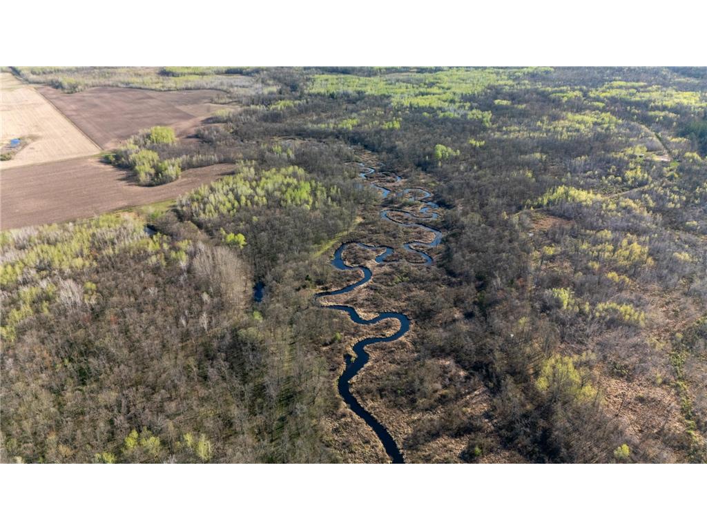 0000 Crooked Lake Rd Danforth Twp MN 55072 6722930 image17
