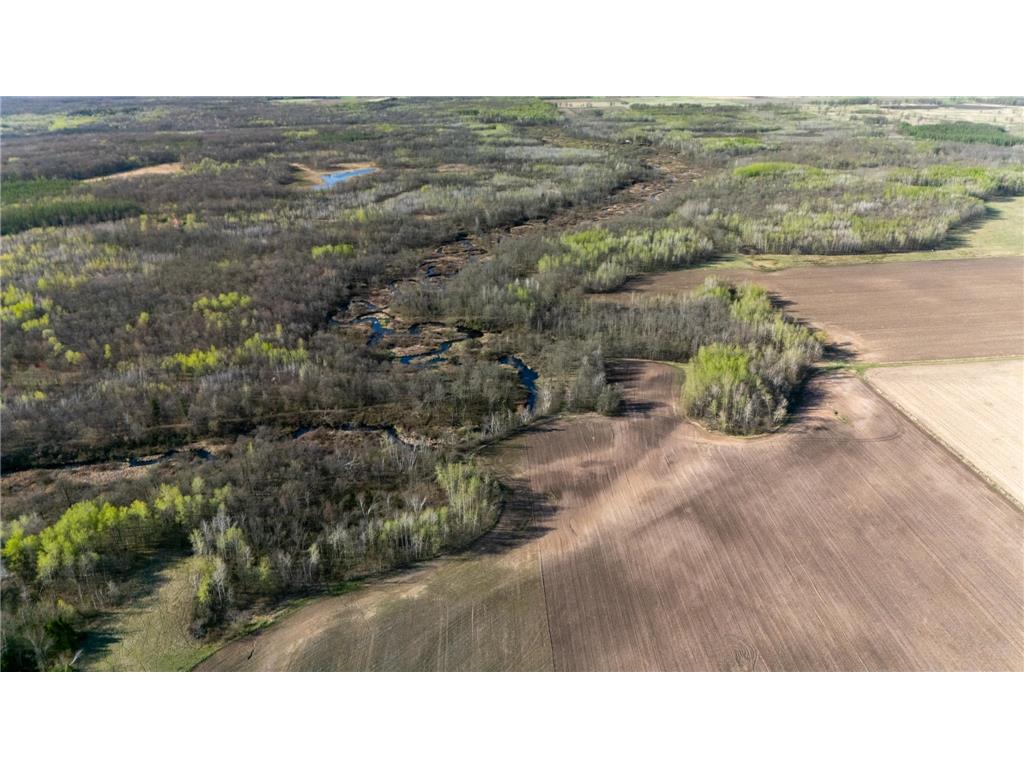 0000 Crooked Lake Rd Danforth Twp MN 55072 6722930 image18