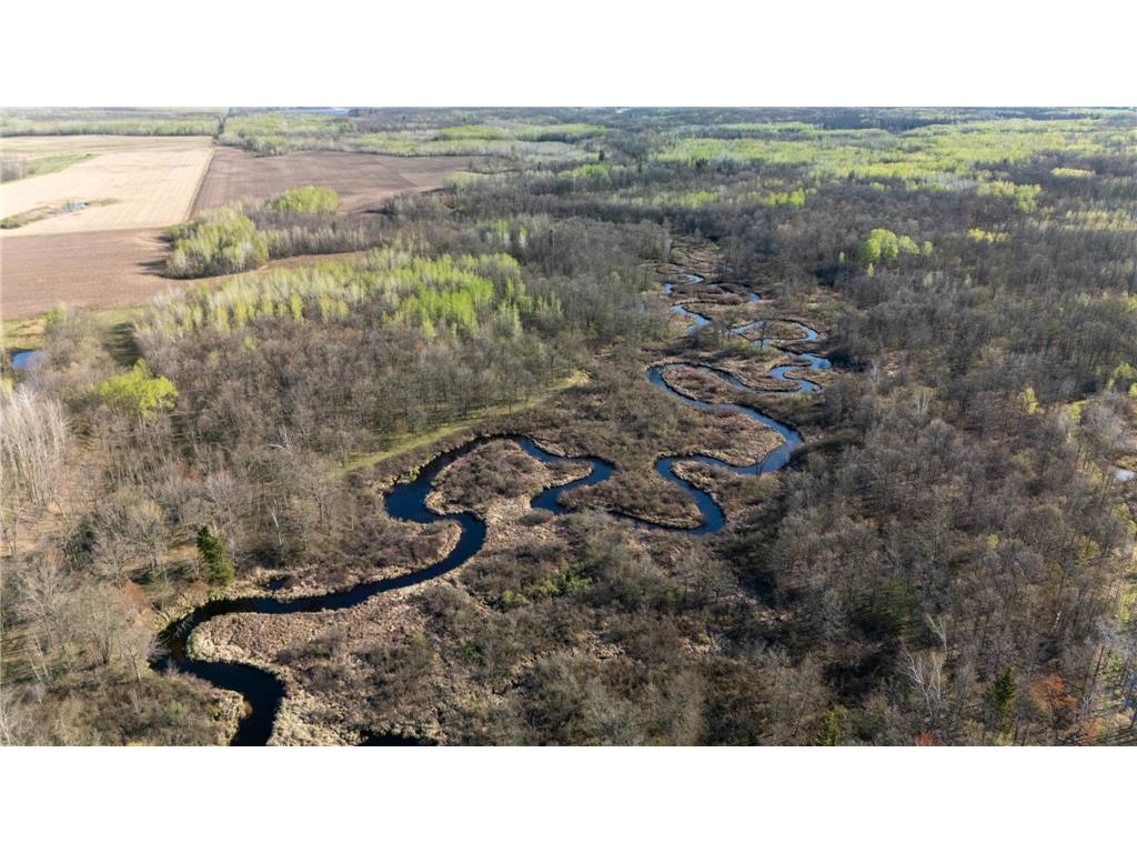 0000 Crooked Lake Rd Danforth Twp MN 55072 6722930 image19