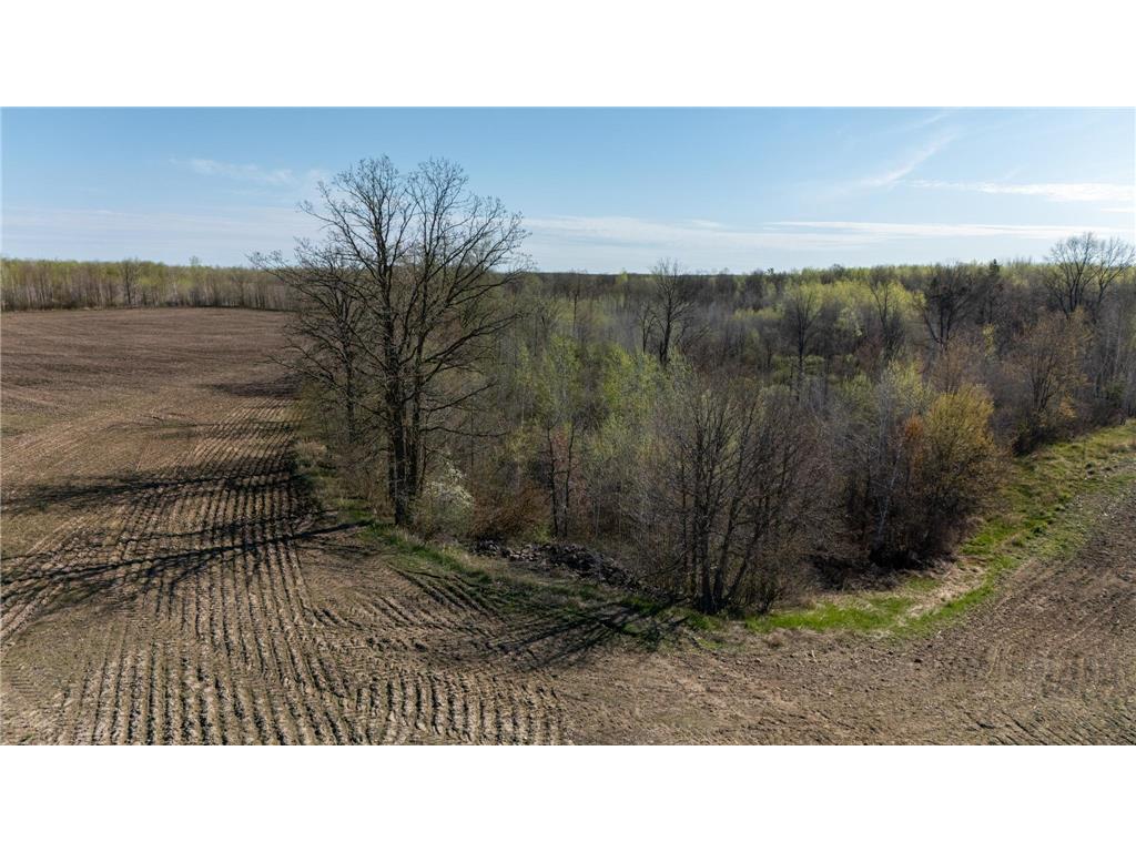 0000 Crooked Lake Rd Danforth Twp MN 55072 6722930 image2