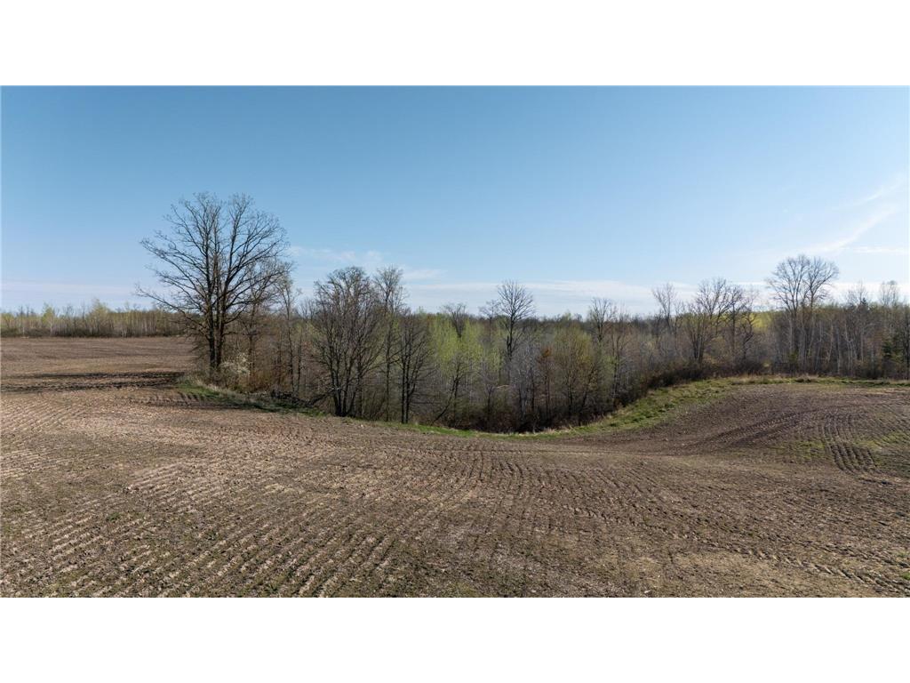 0000 Crooked Lake Rd Danforth Twp MN 55072 6722930 image3
