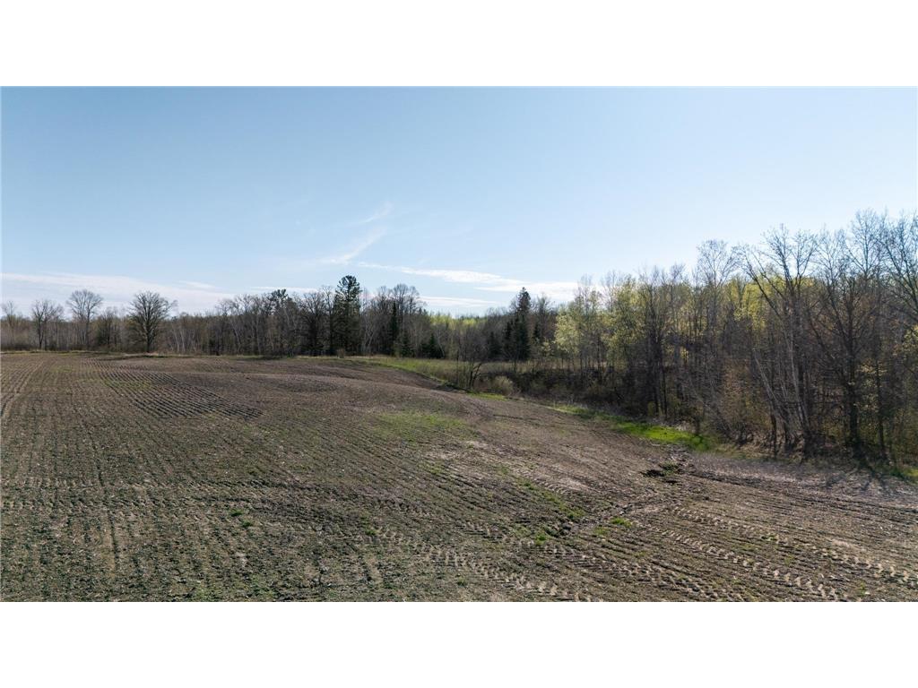 0000 Crooked Lake Rd Danforth Twp MN 55072 6722930 image4