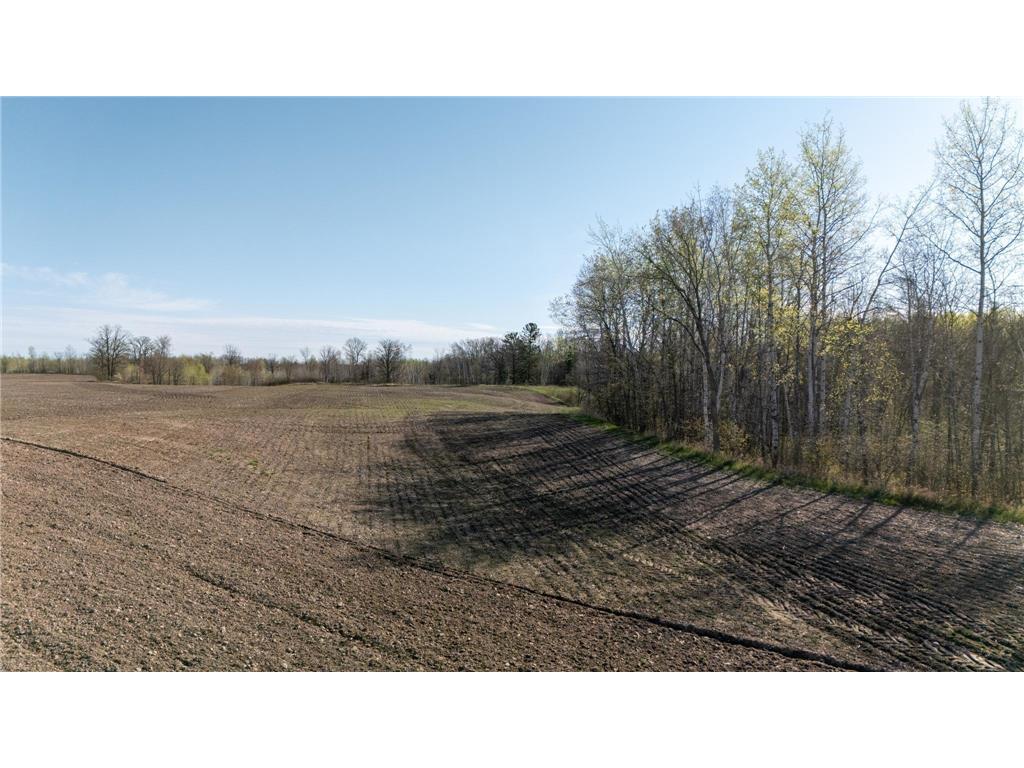 0000 Crooked Lake Rd Danforth Twp MN 55072 6722930 image5