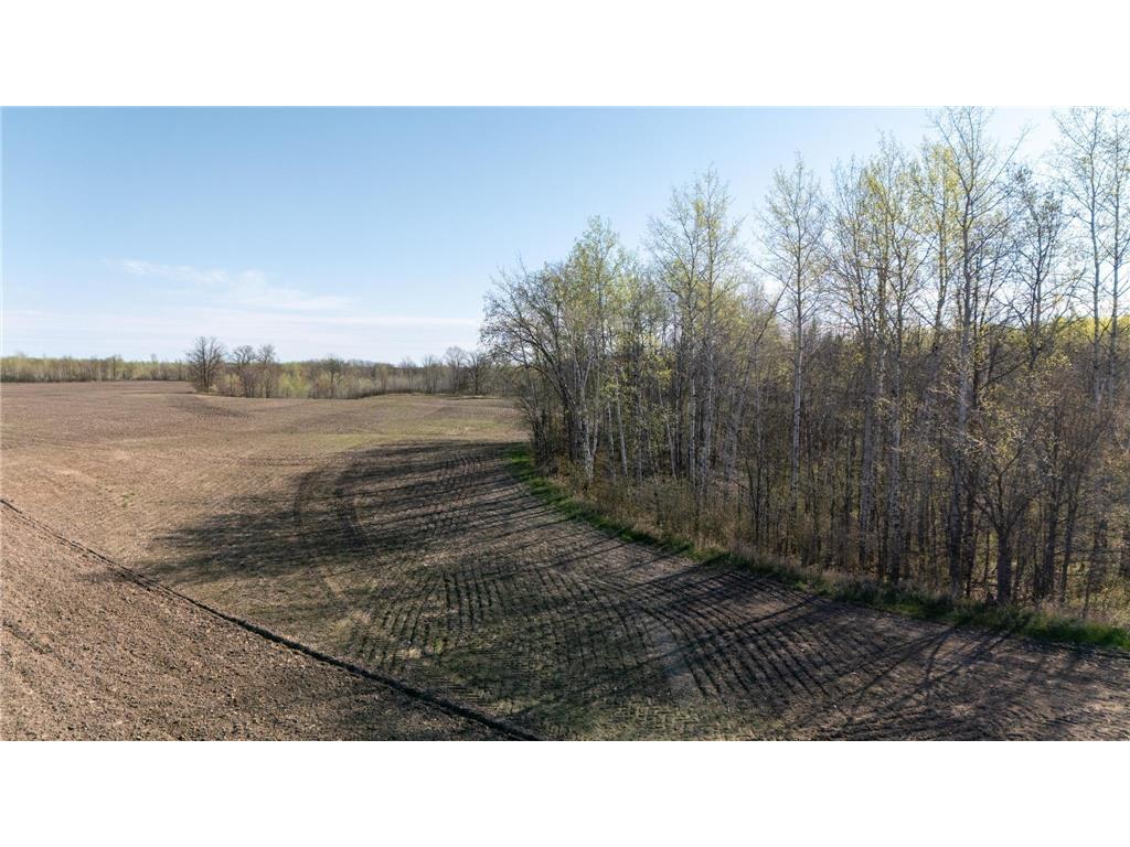 0000 Crooked Lake Rd Danforth Twp MN 55072 6722930 image6