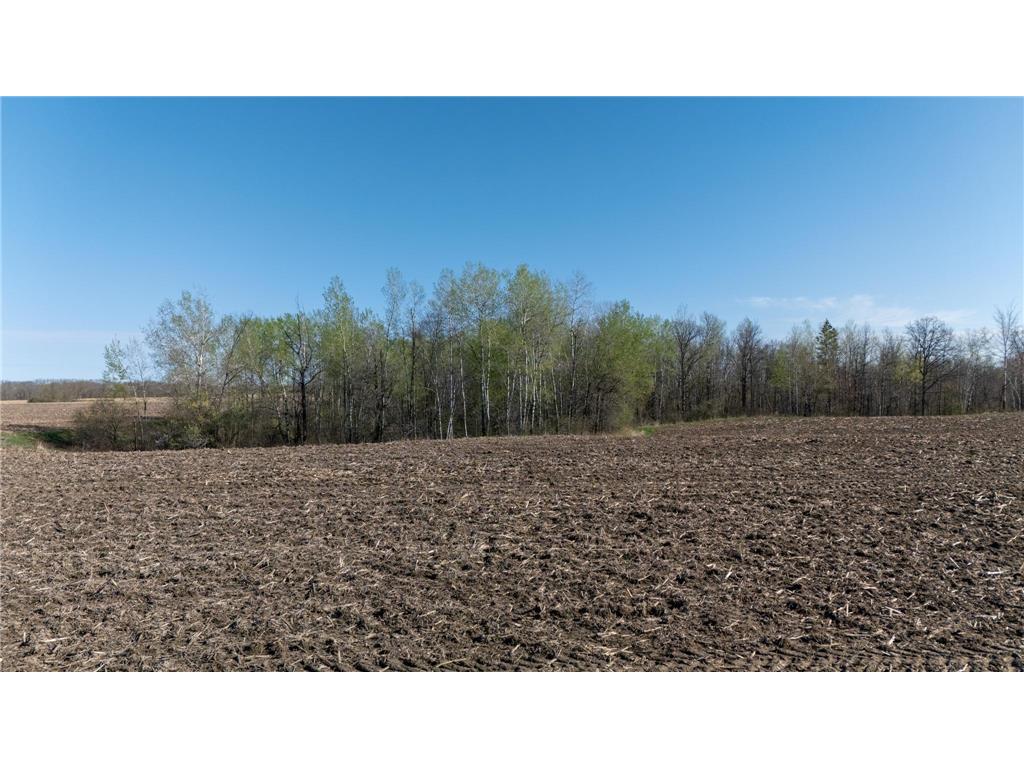 0000 Crooked Lake Rd Danforth Twp MN 55072 6722930 image8