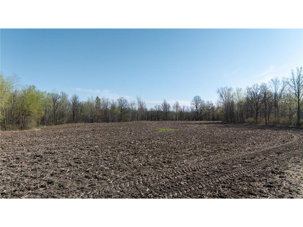 0000 Crooked Lake Rd Danforth Twp MN 55072 6722930 image9