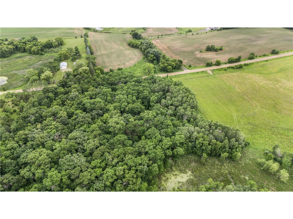 0000 Fourth Avenue E Lynden Twp MN 55382 7097813 image13