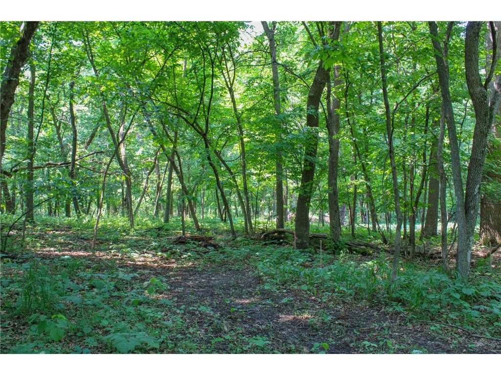 0000 Fourth Avenue E Lynden Twp MN 55382 7097813 image5