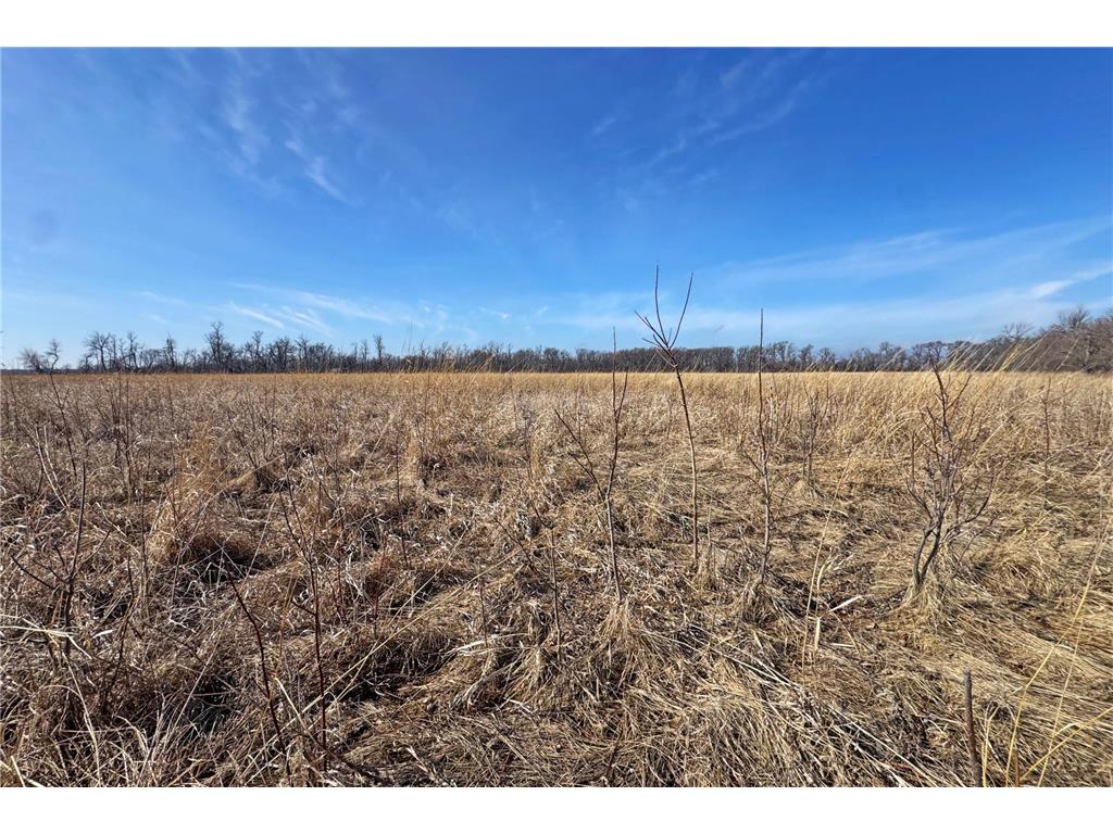 0000 King of Trails (Hwy 75) Halstad MN 56548 - Red River 7038856 image16