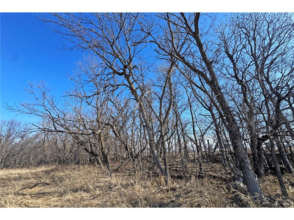 0000 King of Trails (Hwy 75) Halstad MN 56548 - Red River 7038856 image17