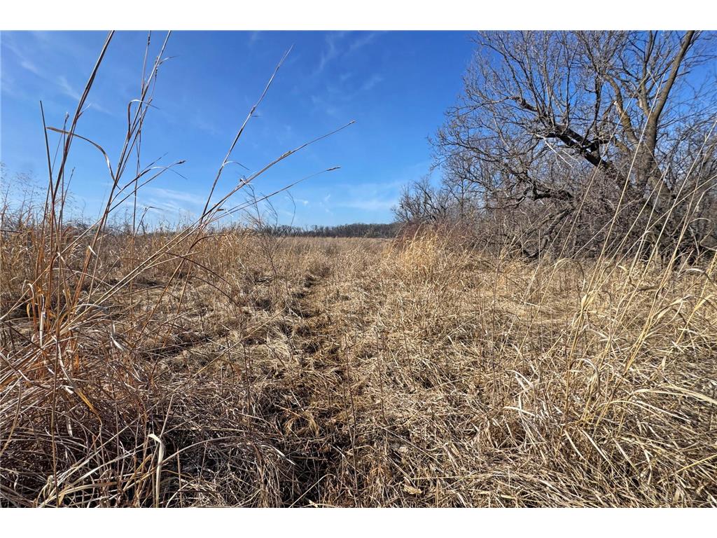 0000 King of Trails (Hwy 75) Halstad MN 56548 - Red River 7038856 image18