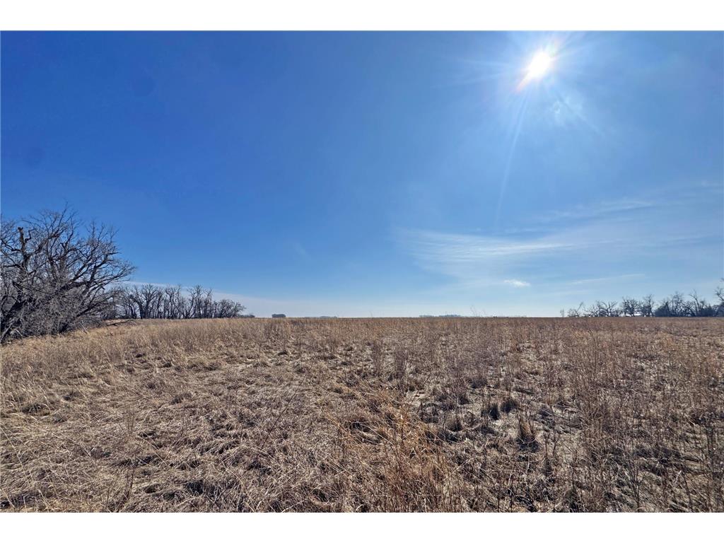 0000 King of Trails (Hwy 75) Halstad MN 56548 - Red River 7038856 image19