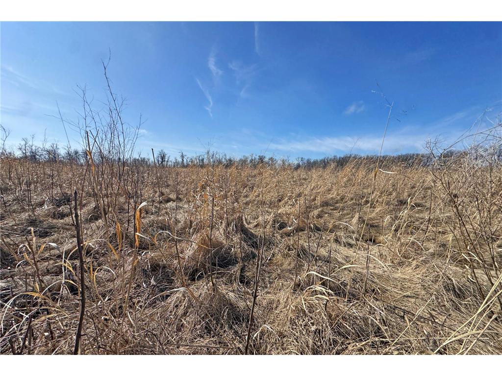 0000 King of Trails (Hwy 75) Halstad MN 56548 - Red River 7038856 image20