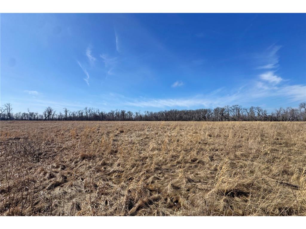 0000 King of Trails (Hwy 75) Halstad MN 56548 - Red River 7038856 image21