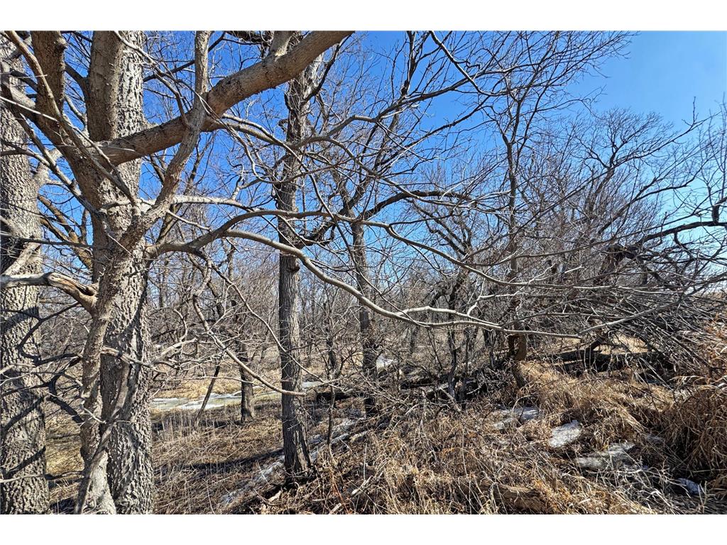 0000 King of Trails (Hwy 75) Halstad MN 56548 - Red River 7038856 image22