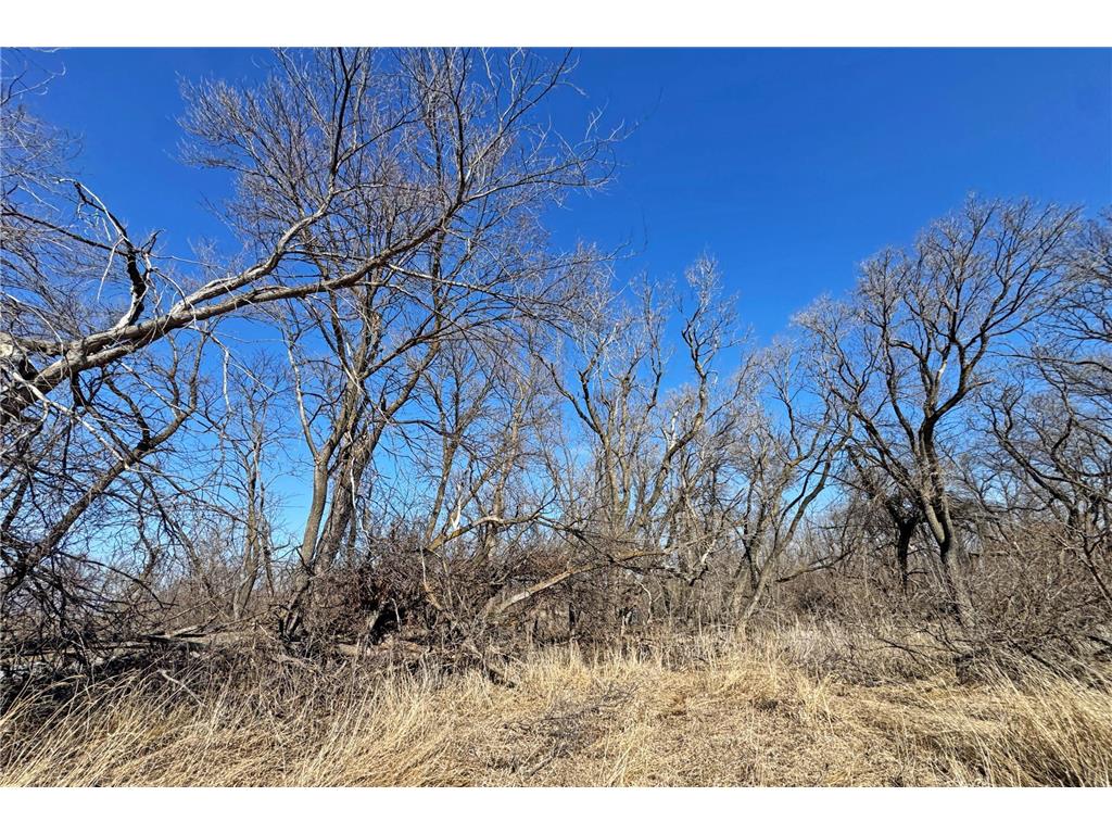 0000 King of Trails (Hwy 75) Halstad MN 56548 - Red River 7038856 image23