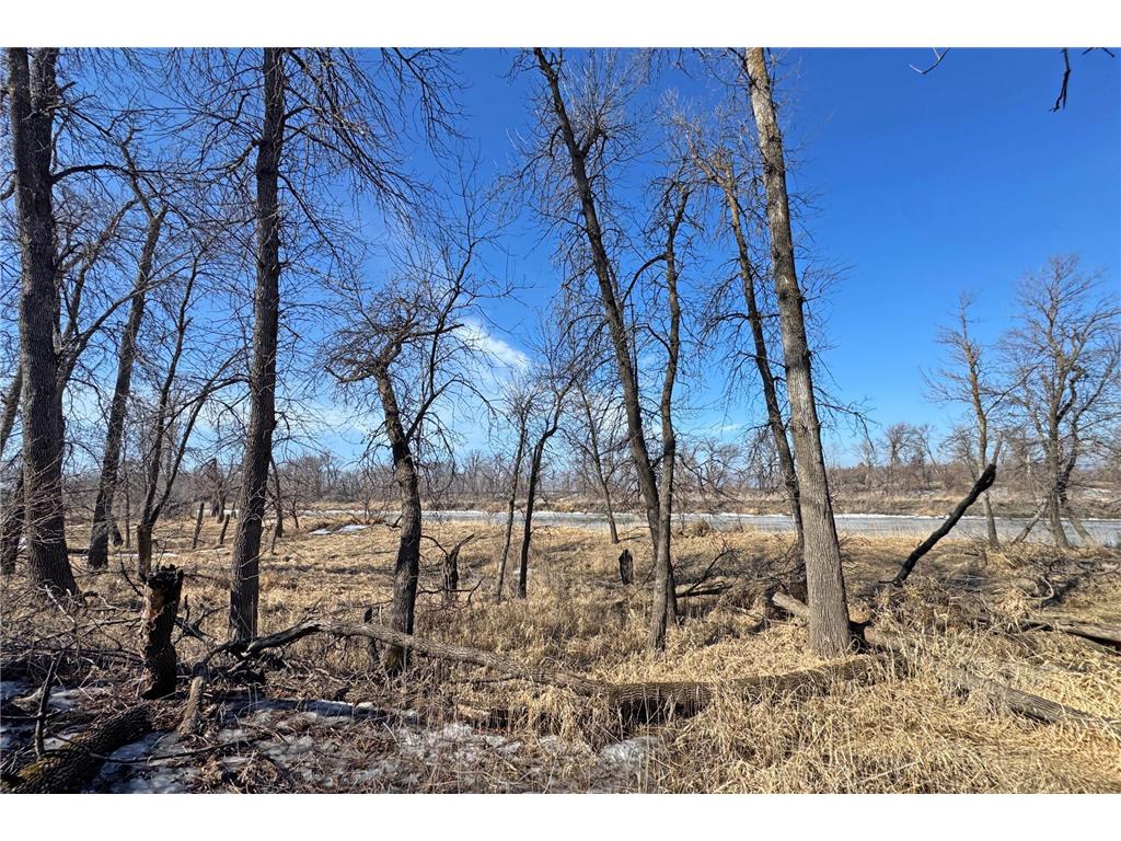 0000 King of Trails (Hwy 75) Halstad MN 56548 - Red River 7038856 image25