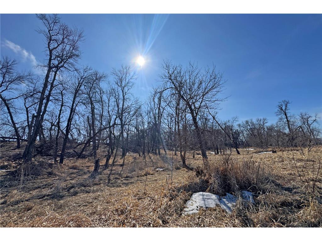 0000 King of Trails (Hwy 75) Halstad MN 56548 - Red River 7038856 image28