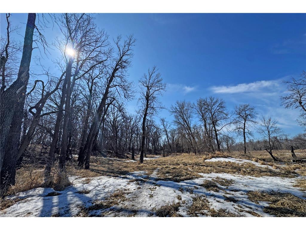 0000 King of Trails (Hwy 75) Halstad MN 56548 - Red River 7038856 image29