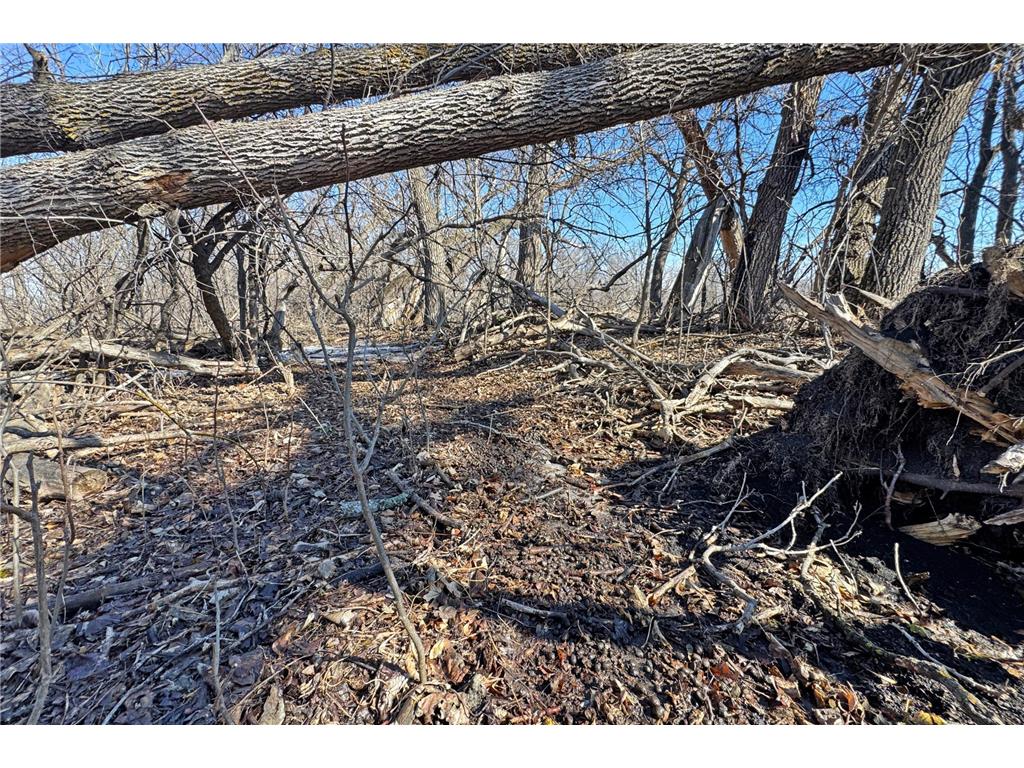 0000 King of Trails (Hwy 75) Halstad MN 56548 - Red River 7038856 image30