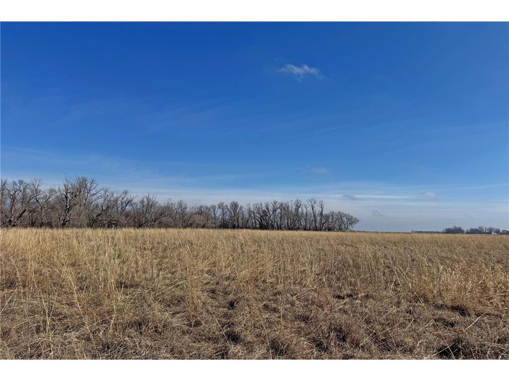 0000 King of Trails (Hwy 75) Halstad MN 56548 - Red River 7038856 image31