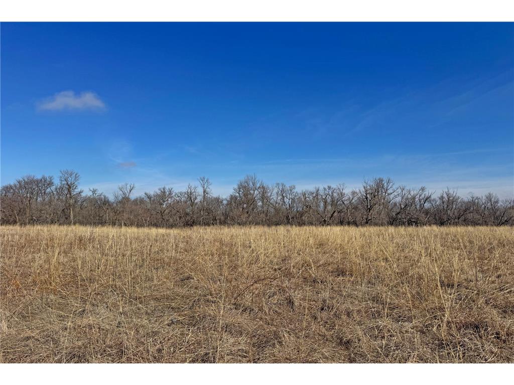 0000 King of Trails (Hwy 75) Halstad MN 56548 - Red River 7038856 image32