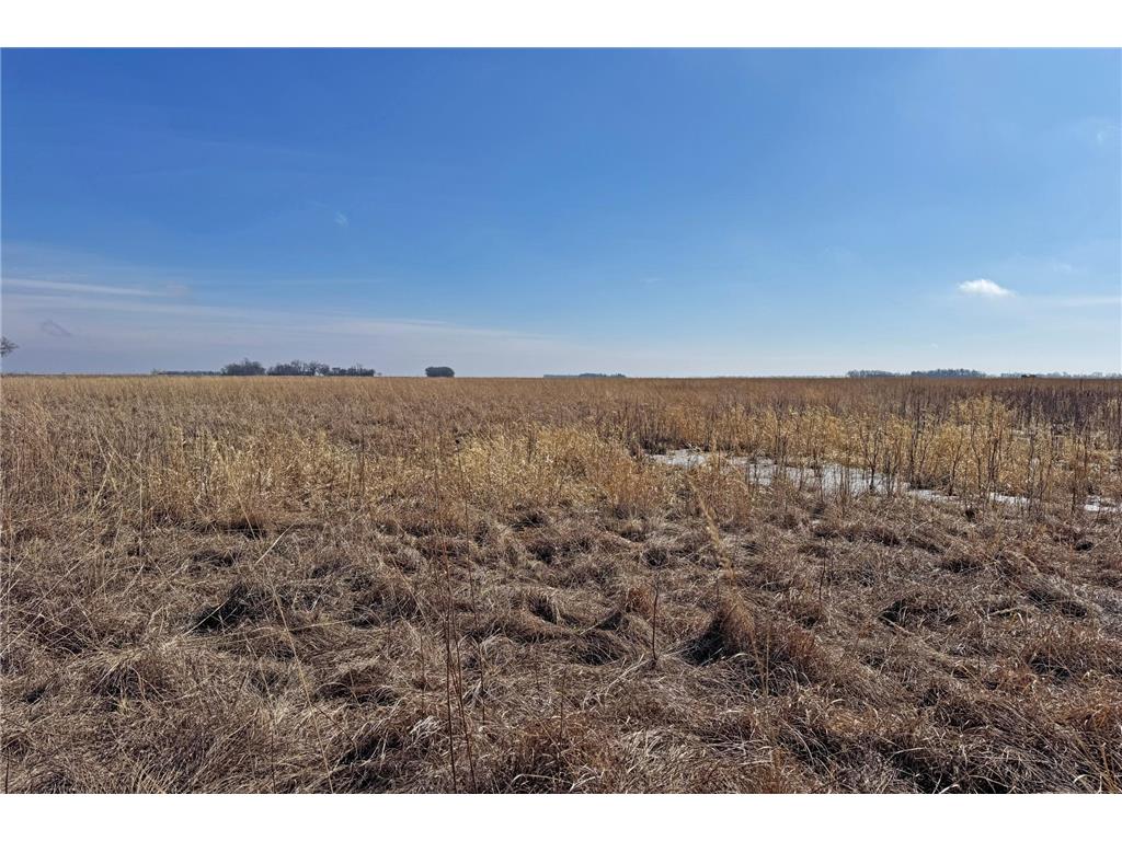 0000 King of Trails (Hwy 75) Halstad MN 56548 - Red River 7038856 image33