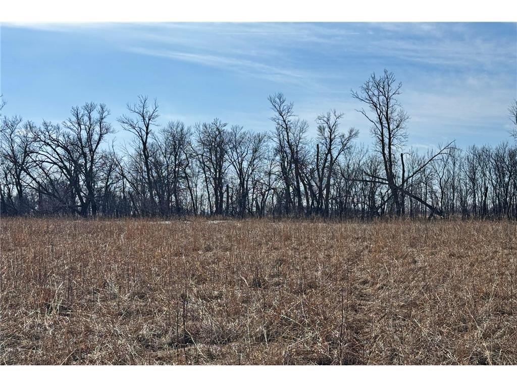 0000 King of Trails (Hwy 75) Halstad MN 56548 - Red River 7038856 image34