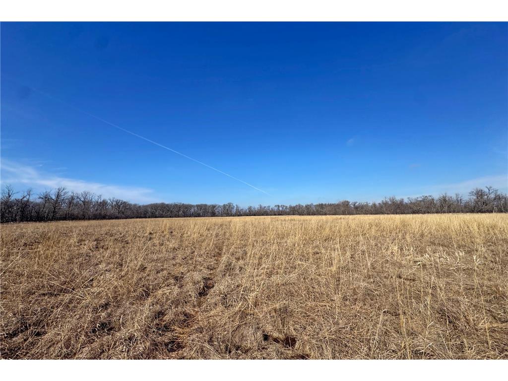 0000 King of Trails (Hwy 75) Halstad MN 56548 - Red River 7038856 image35