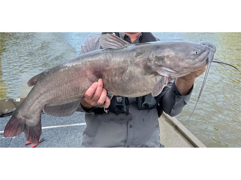 0000 King of Trails (Hwy 75) Halstad MN 56548 - Red River 7038856 image36