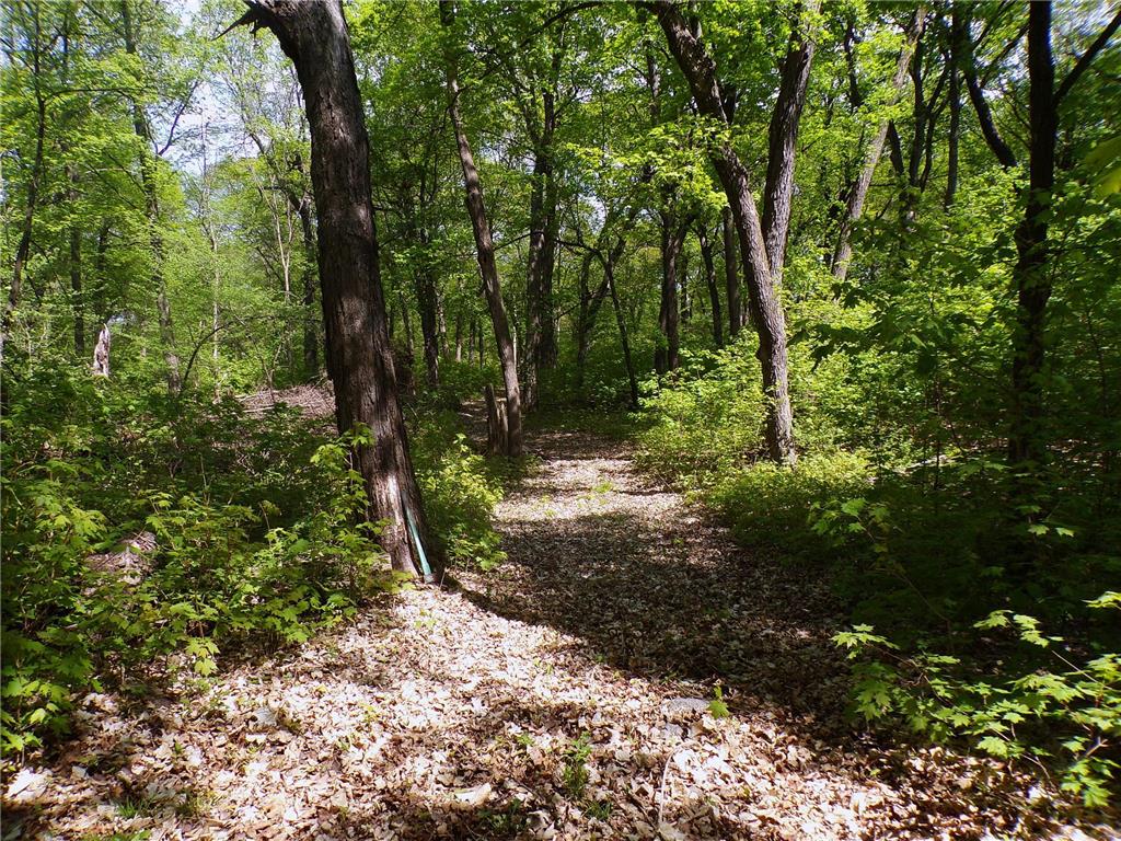 0000 Mn-29 N Alexandria MN 56308 6654098 image1