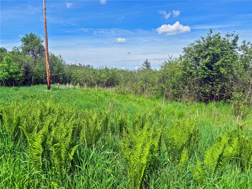 0000 Paradise Trail NW Isanti MN 55040 - Francis 7081499 image5