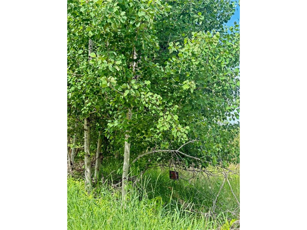 0000 Paradise Trail NW Isanti MN 55040 - Francis 7081499 image9