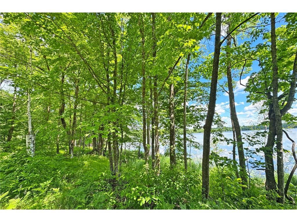 0000 Perry Lake Road Perry Lake Twp MN 56441 - PERRY 7095906 image16