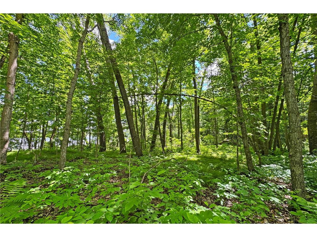 0000 Perry Lake Road Perry Lake Twp MN 56441 - PERRY 7095906 image25