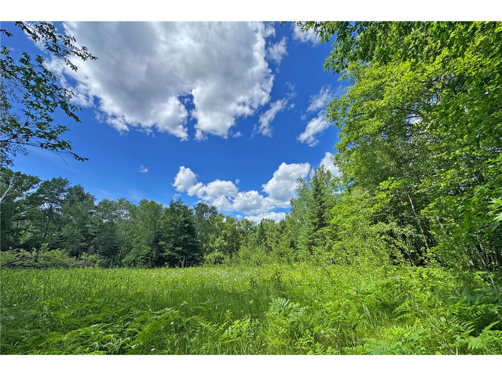 0000 Perry Lake Road Perry Lake Twp MN 56441 - PERRY 7095906 image31