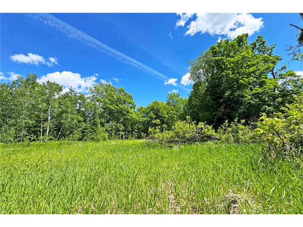 0000 Perry Lake Road Perry Lake Twp MN 56441 - PERRY 7095906 image32
