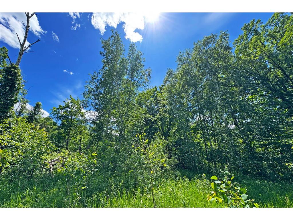 0000 Perry Lake Road Perry Lake Twp MN 56441 - PERRY 7095906 image33