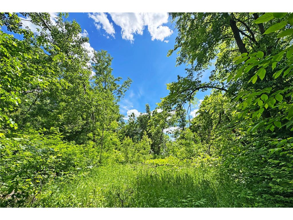 0000 Perry Lake Road Perry Lake Twp MN 56441 - PERRY 7095906 image34