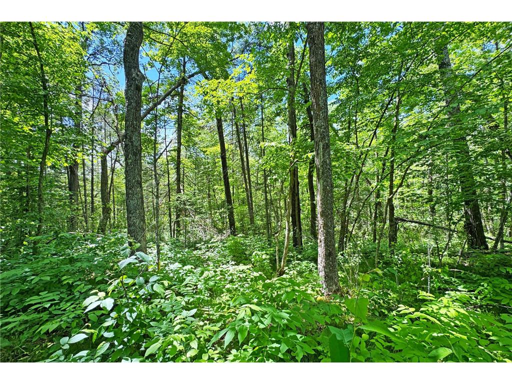 0000 Perry Lake Road Perry Lake Twp MN 56441 - PERRY 7095906 image35
