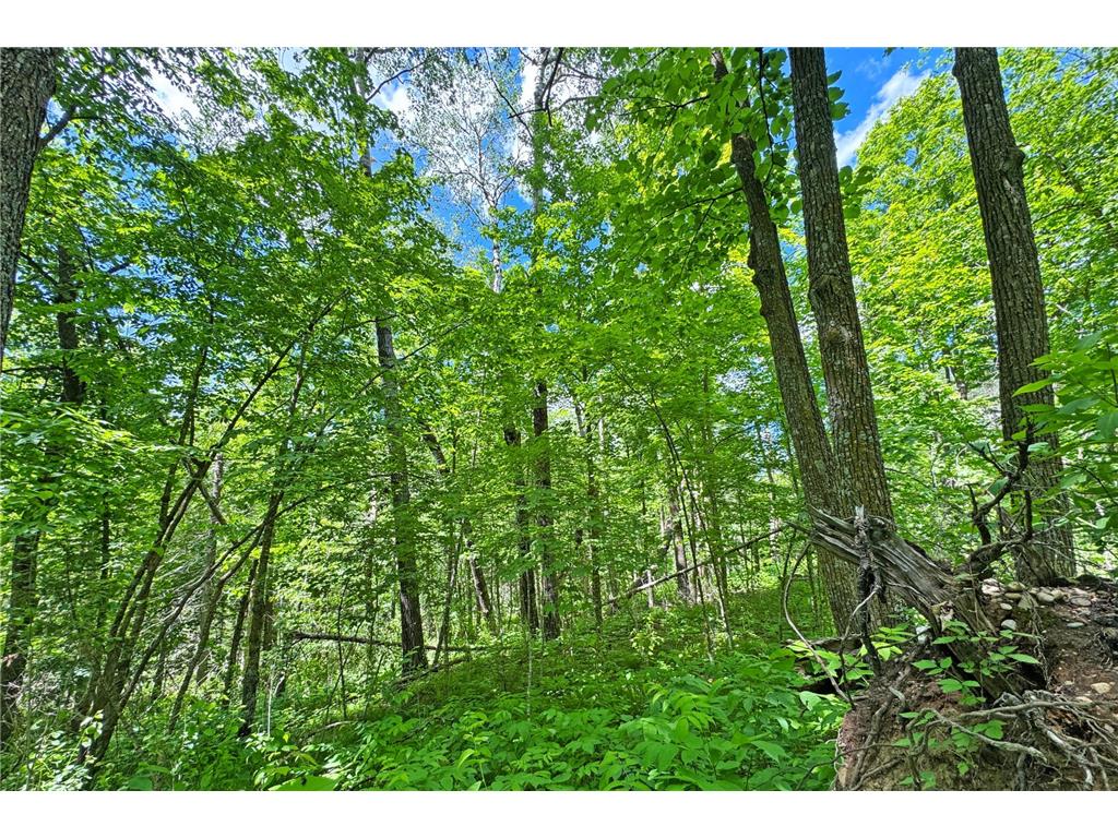 0000 Perry Lake Road Perry Lake Twp MN 56441 - PERRY 7095906 image36