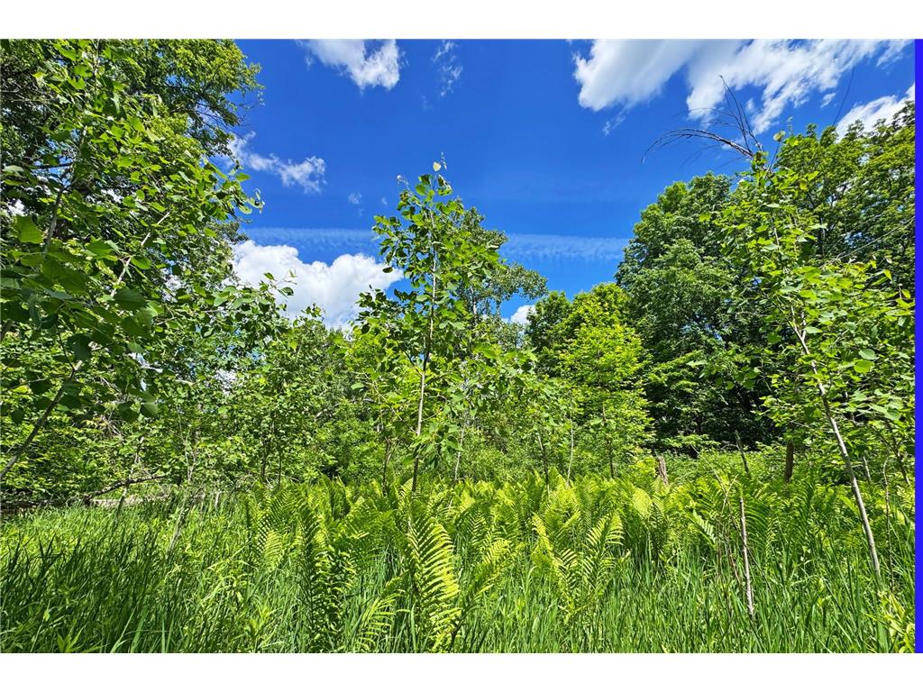 0000 Perry Lake Road Perry Lake Twp MN 56441 - PERRY 7095906 image37