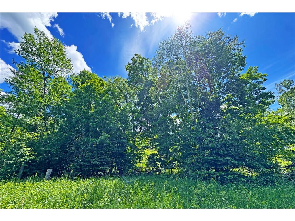 0000 Perry Lake Road Perry Lake Twp MN 56441 - PERRY 7095906 image38
