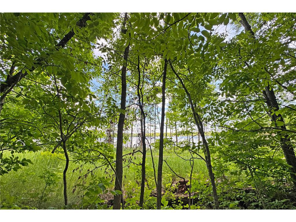 0000 Perry Lake Road Perry Lake Twp MN 56441 - PERRY 7095906 image41
