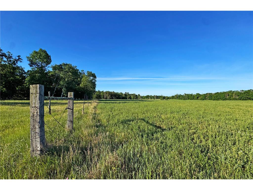 0000 Pine Street Fifty Lakes MN 56442 7094417 image19
