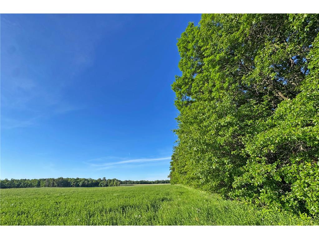 0000 Pine Street Fifty Lakes MN 56442 7094417 image23