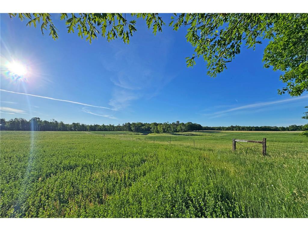 0000 Pine Street Fifty Lakes MN 56442 7094417 image24
