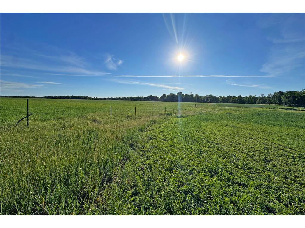0000 Pine Street Fifty Lakes MN 56442 7094417 image25