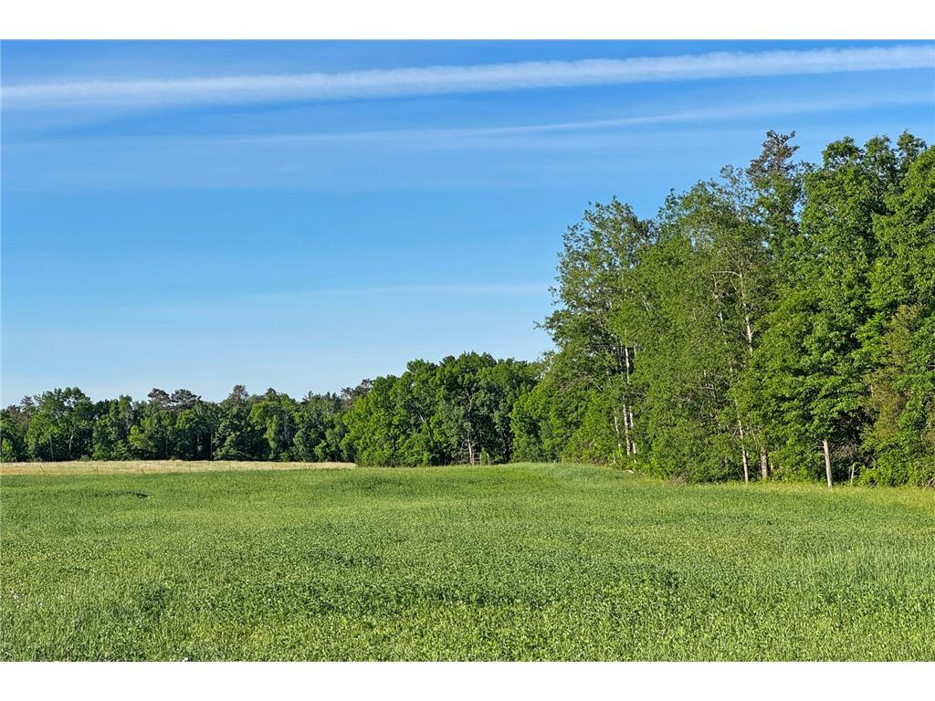 0000 Pine Street Fifty Lakes MN 56442 7094417 image26
