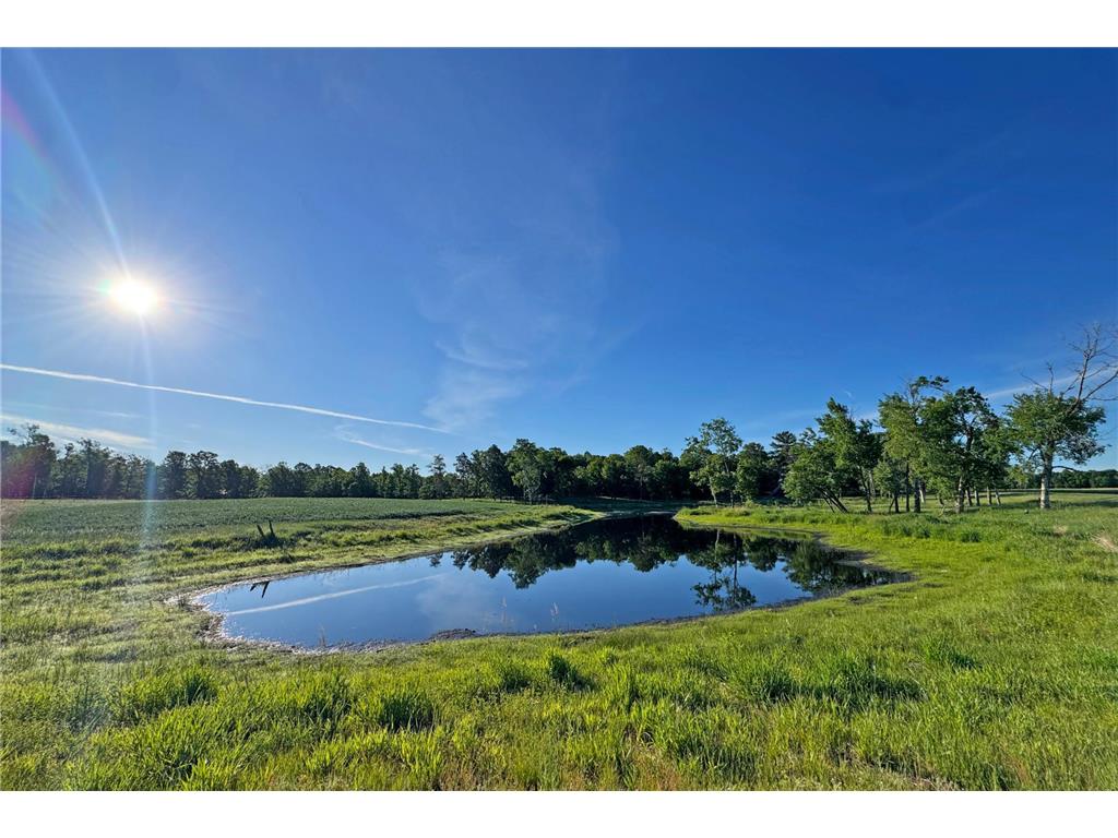 0000 Pine Street Fifty Lakes MN 56442 7094417 image27